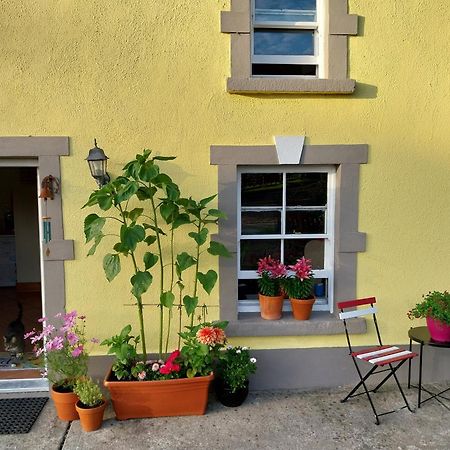 Felicity Cottage Kiltegan エクステリア 写真